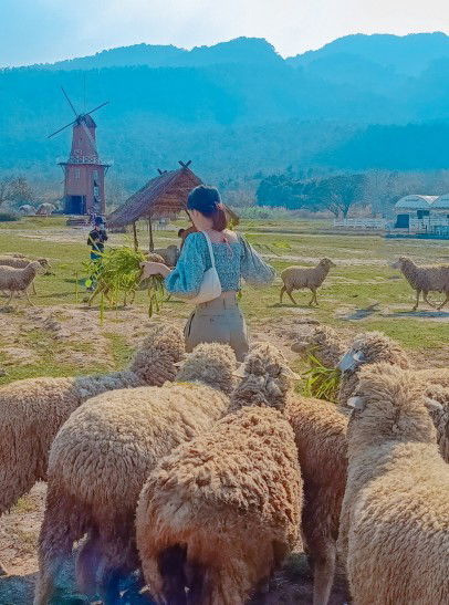 Rujirat profile icon