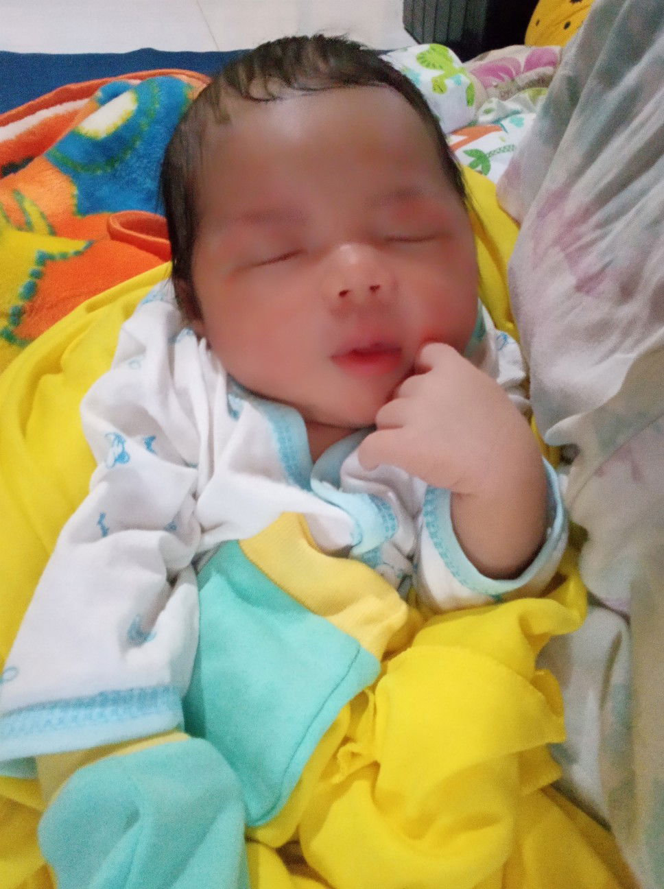 Ela Novita profile icon