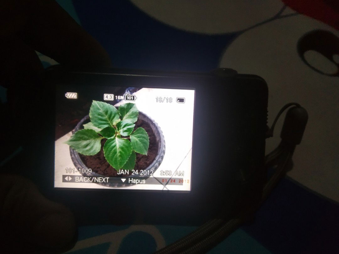 mmh yen profile icon