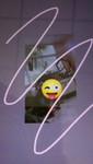 Poon Poon profile icon