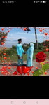 Aishah Rizwan profile icon
