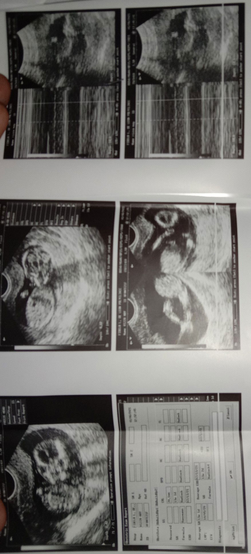 Rizza May profile icon