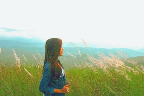 Seyer Kits profile icon