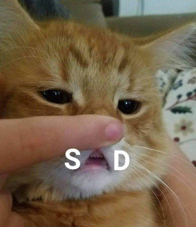 Jos Chan profile icon