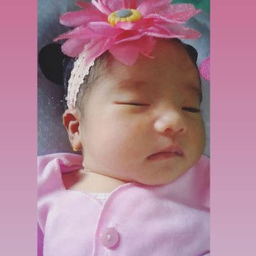 werry ariescha profile icon