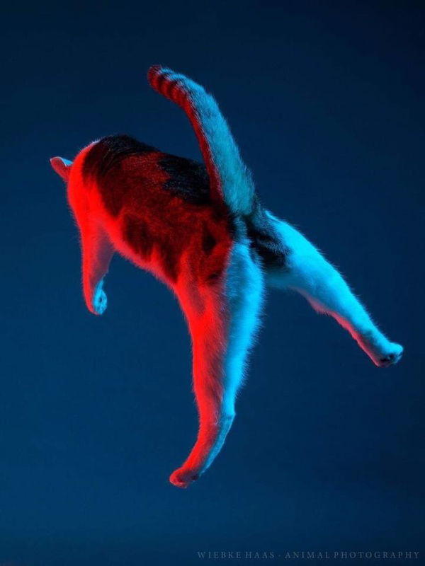 Yuli Norvitasari profile icon