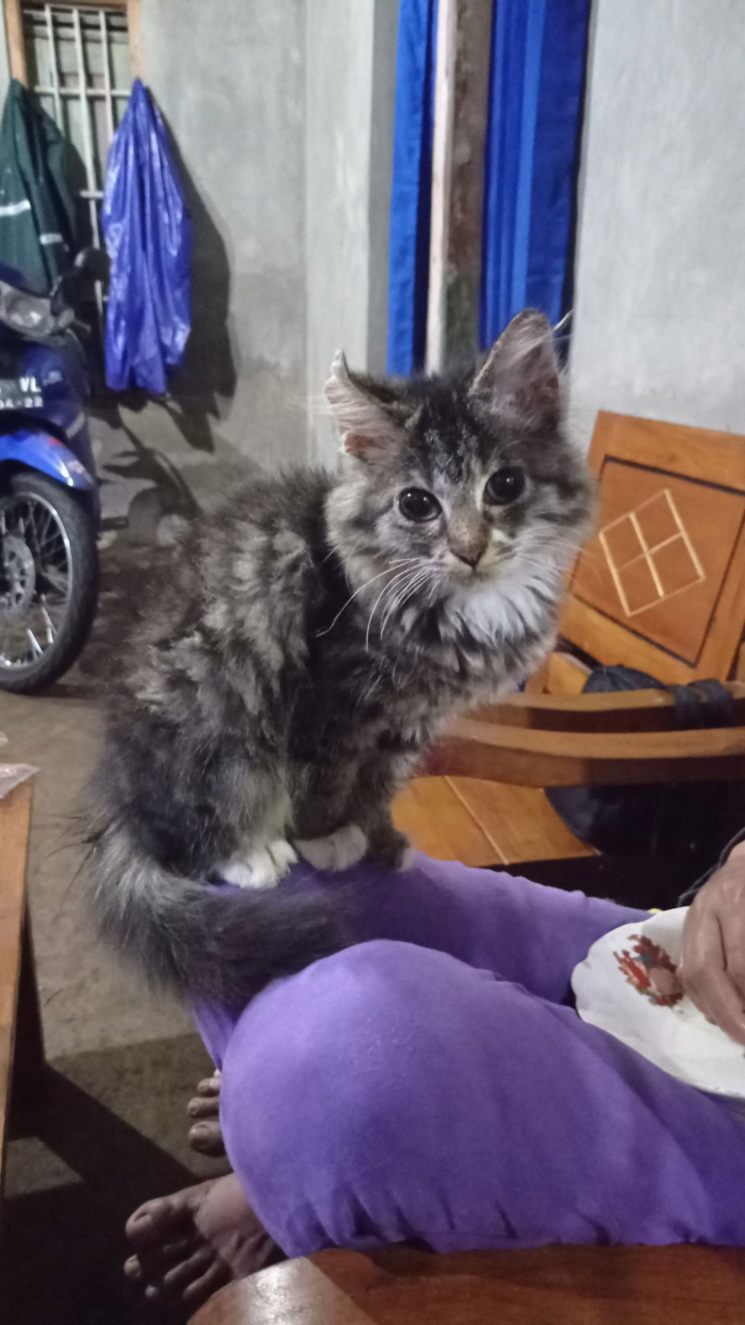 Dyah Puspita profile icon