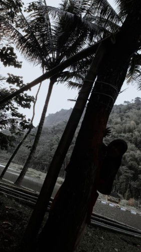 Putry Bhalqis profile icon