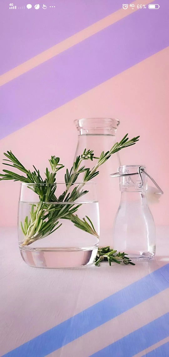 Windha Windha profile icon