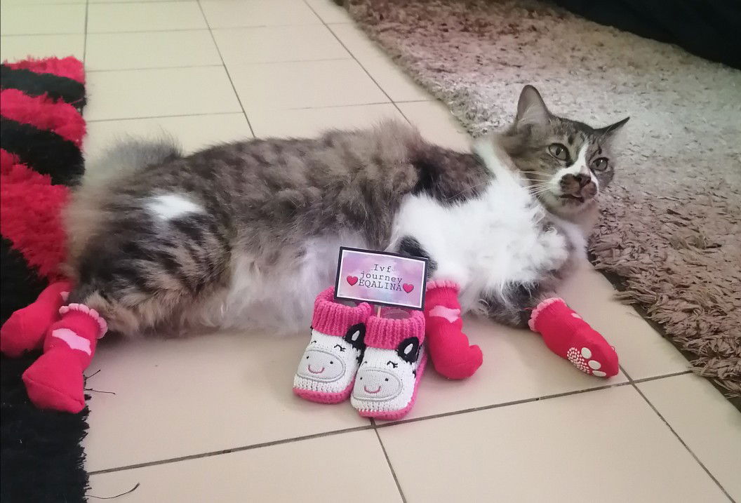 Iena_lyna profile icon