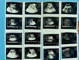 Kar Toon profile icon