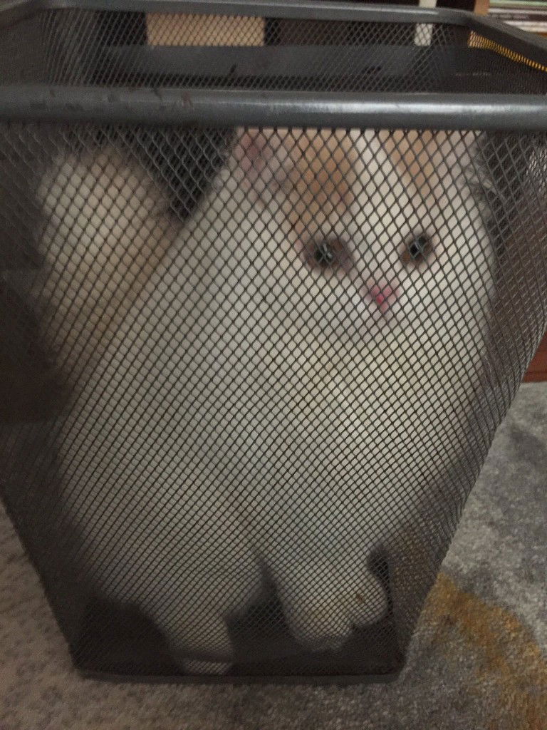 Nor liana Liyana profile icon