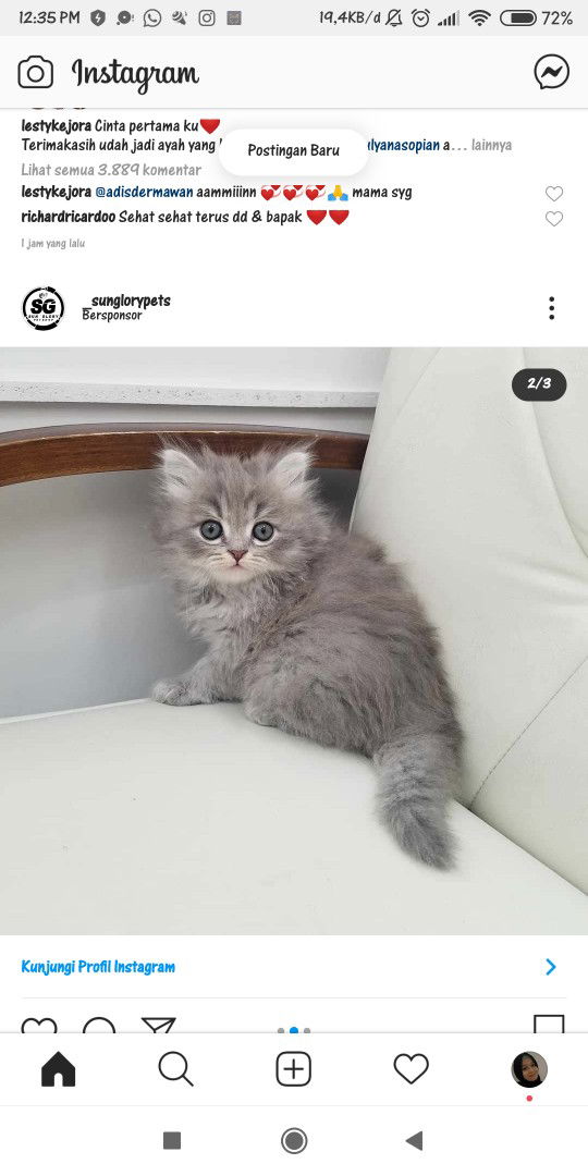 Shinta T profile icon