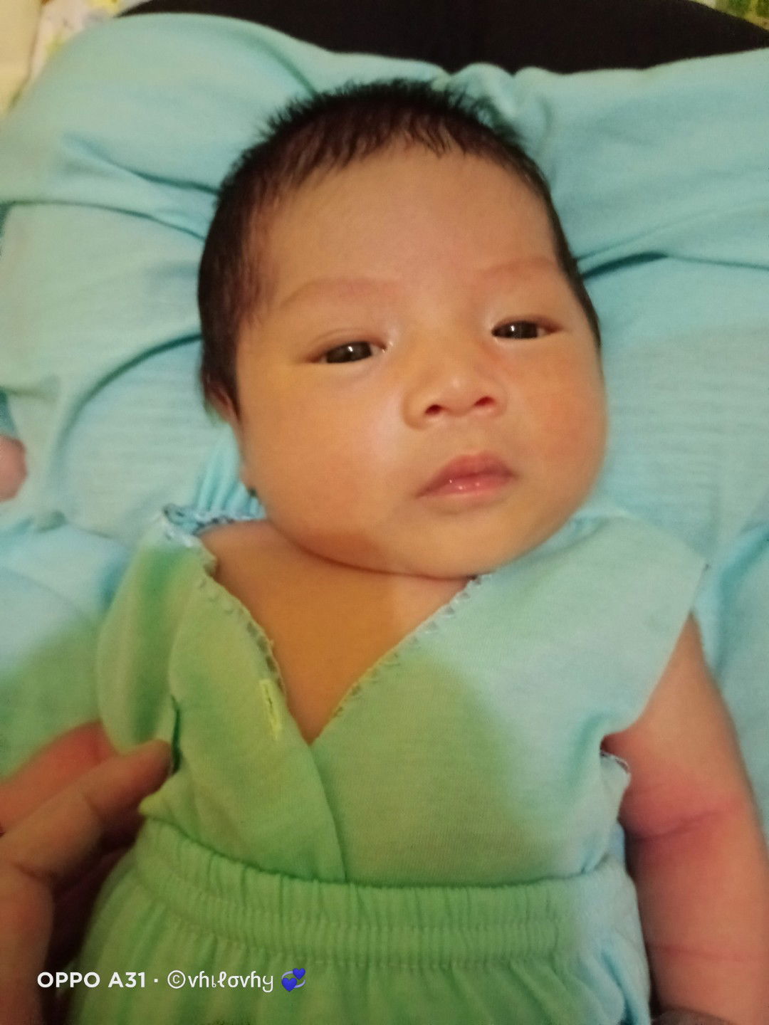 รƭεѵყ αɱεℓเƭα ℓเαƭαɦเ profile icon