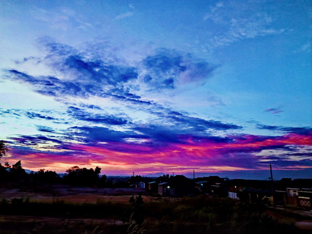 Mamanya adex profile icon