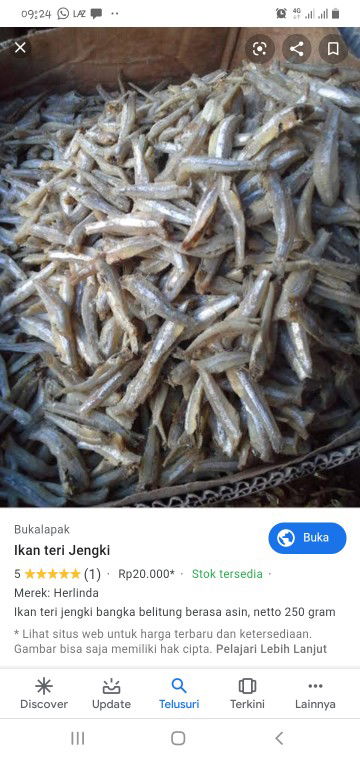 mpasi 7 bulan