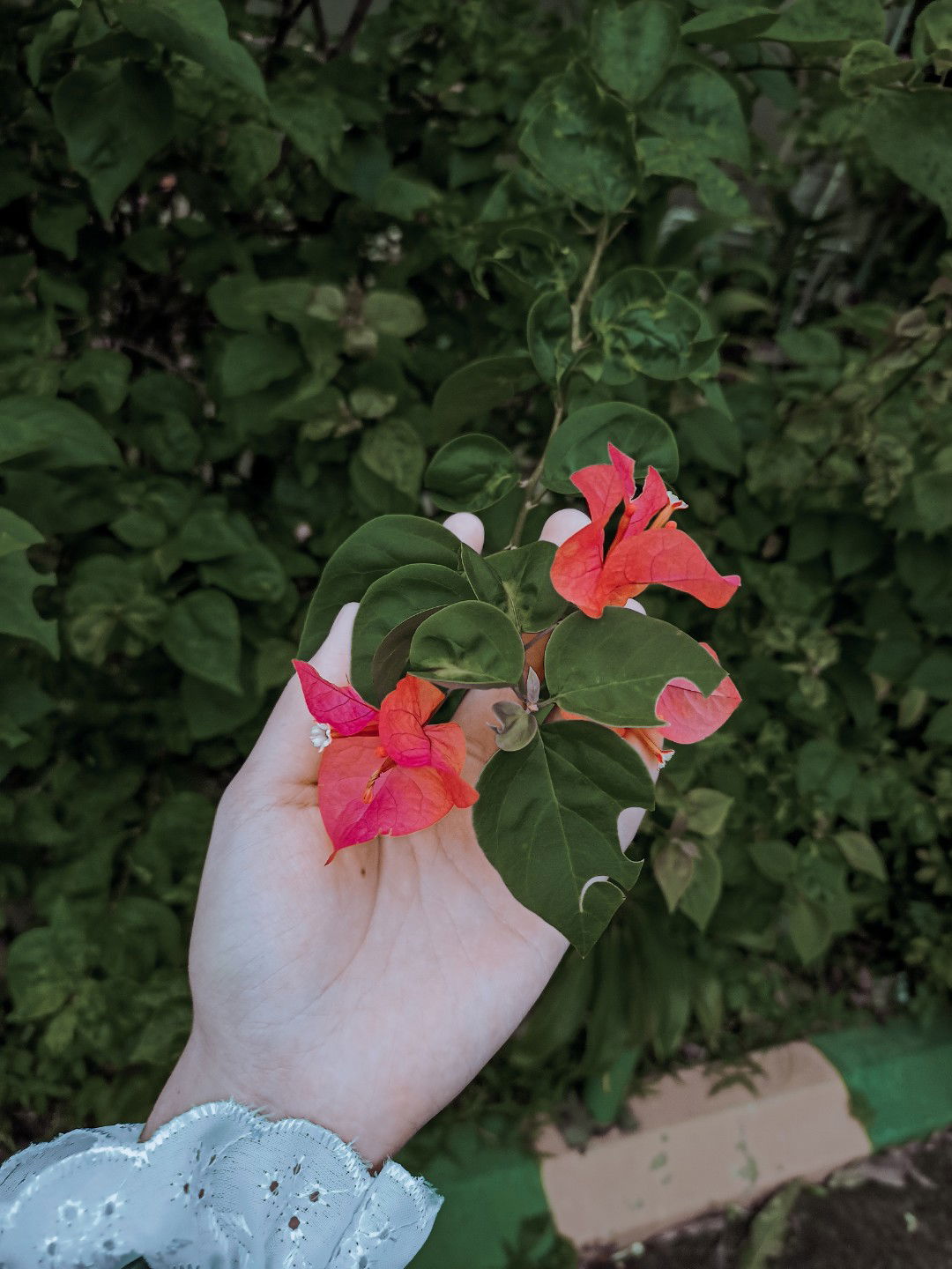 khawla281_ profile icon