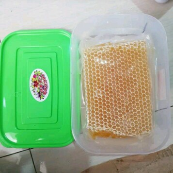 ngidam sarang madu