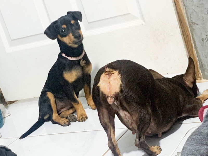 Meaw Rattana profile icon