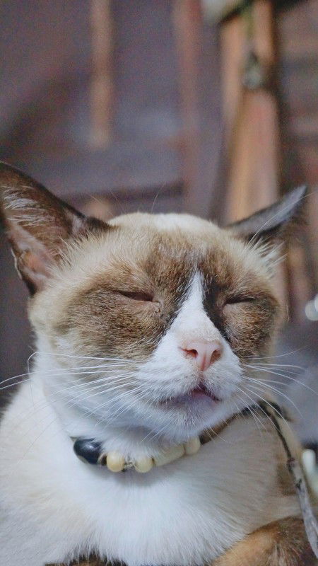 kIRIJI MM profile icon