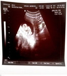 Meredith Trinidad profile icon