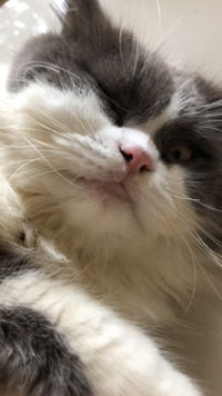 Anya Davita profile icon