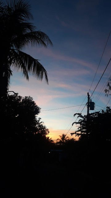 Destiana Saputri profile icon