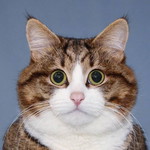 Nacky Hoy profile icon