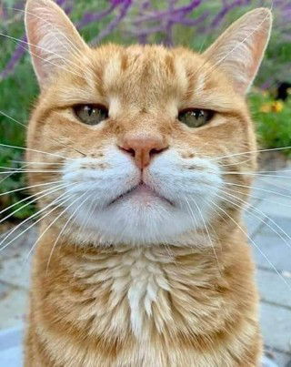 ก้อย profile icon