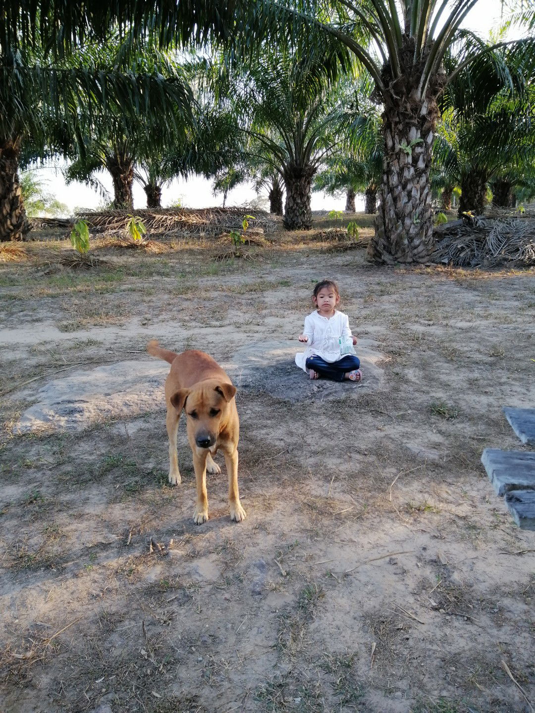 อัคณา กัลยา profile icon