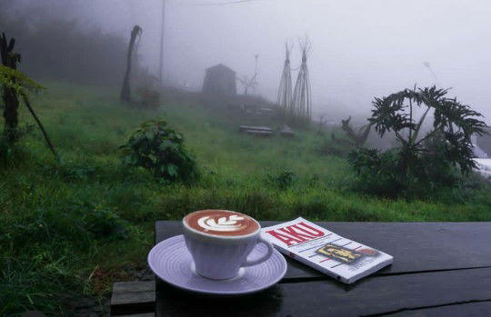 Andira Inggietz profile icon