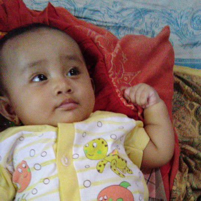 Zulmy Meida profile icon