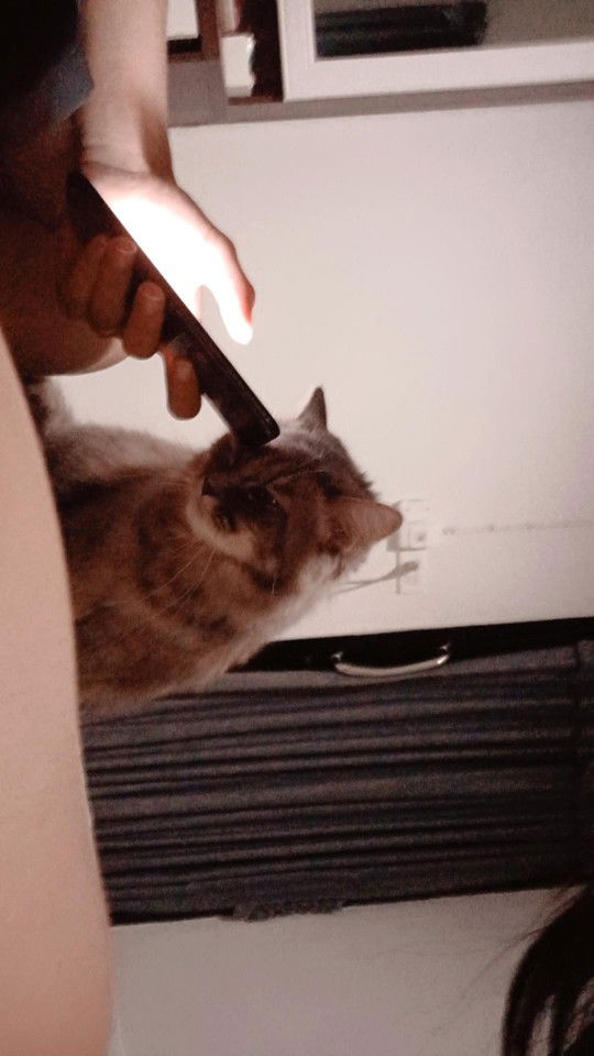 เอินอิม profile icon