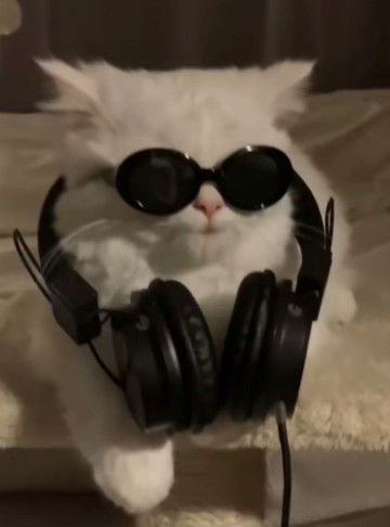 bunda zav profile icon