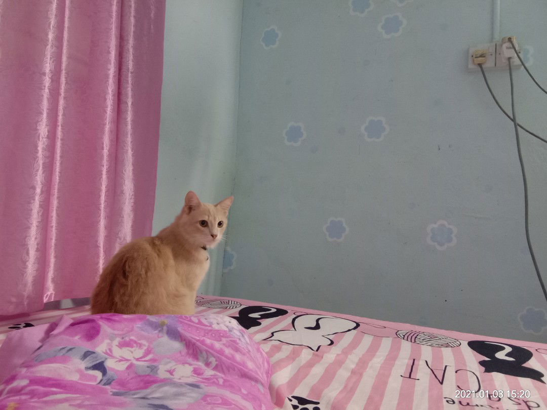 Nabilla hussna Dl profile icon