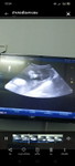 Namfon Siripat profile icon