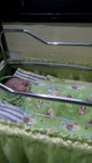 wayan susi profile icon