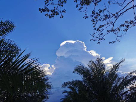 Tanpa Nama profile icon