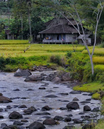 Sindii Nurqolby profile icon