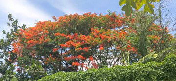 Dada Enimec profile icon