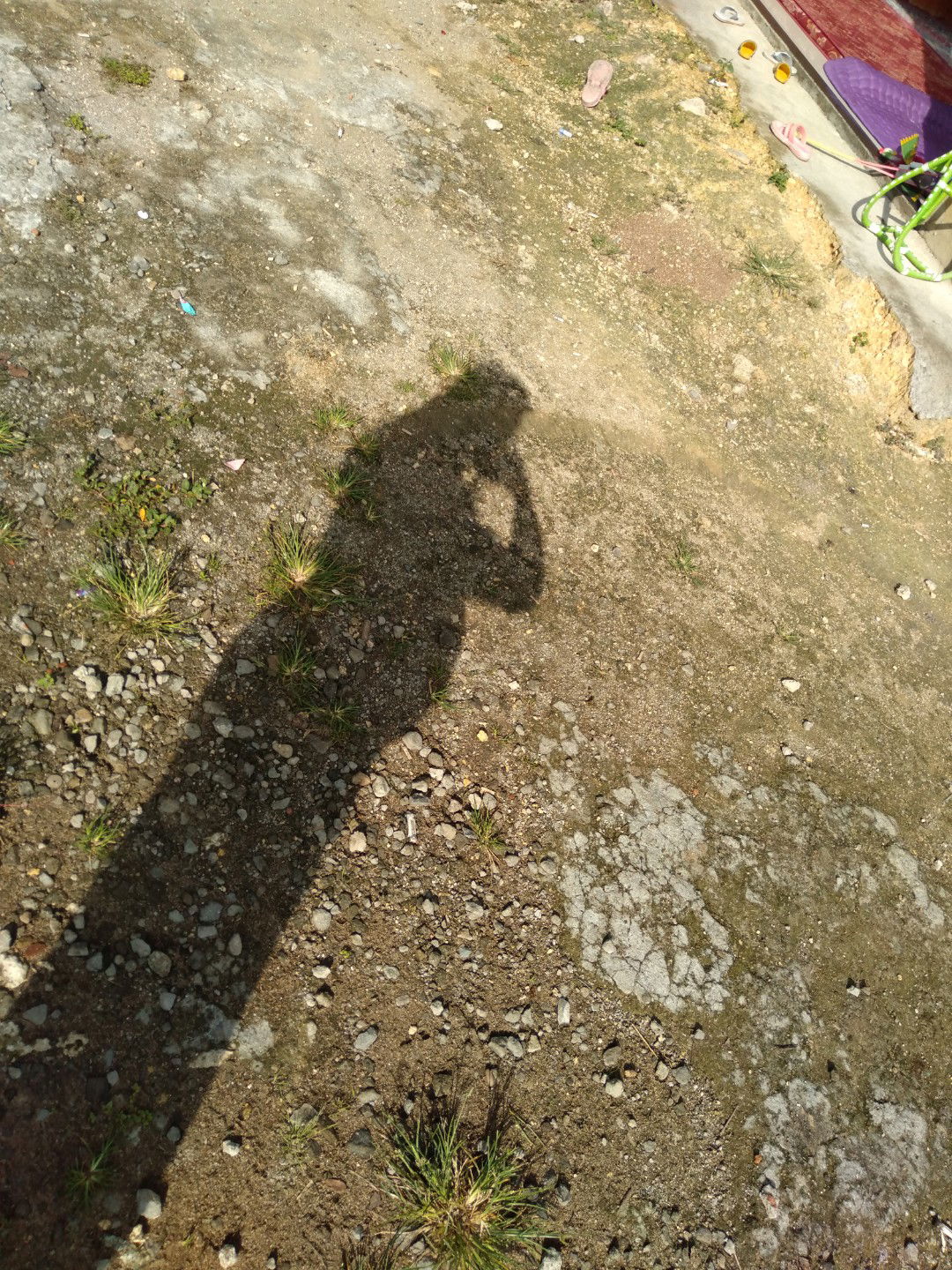 Mama Radit profile icon