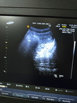 KRATTIYAPORN profile icon