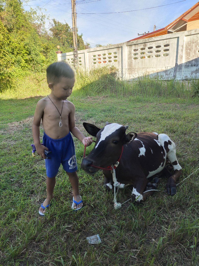 มาริษา วารีอุดม profile icon