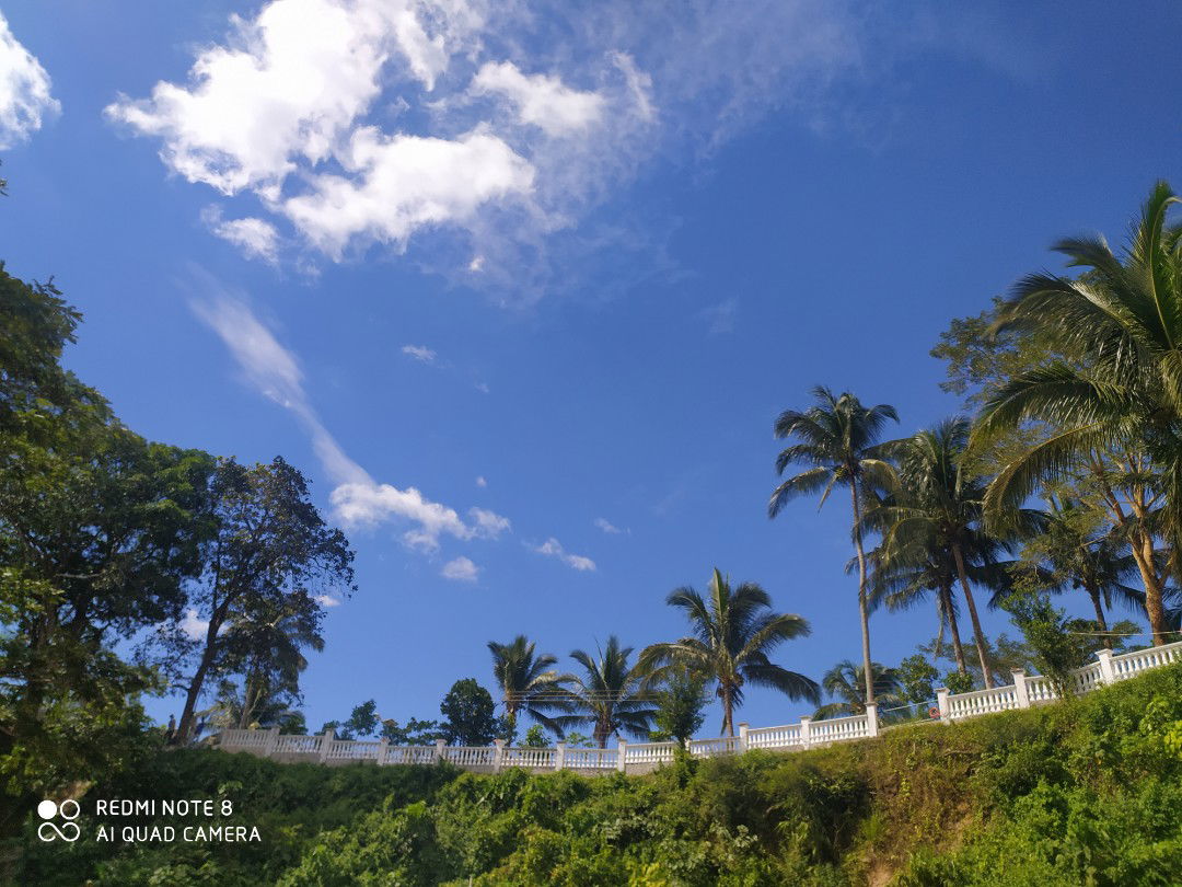 FirstTimeMomtobe profile icon