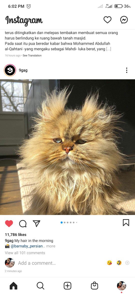 Davina S profile icon