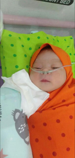 Anti Paputungan profile icon