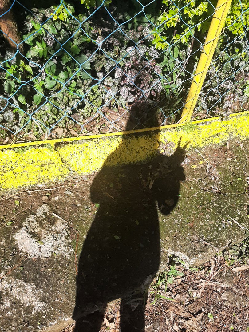 Elli Ca profile icon