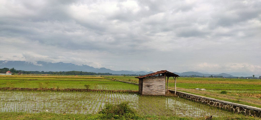 رزقي امنة profile icon