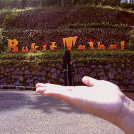 Tifani Nazir profile icon