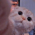 Dee profile icon